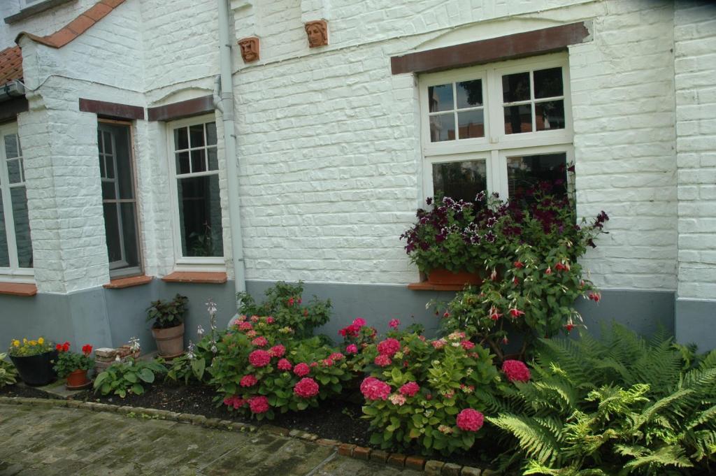 B&B Le Maquis De Haan Eksteriør bilde